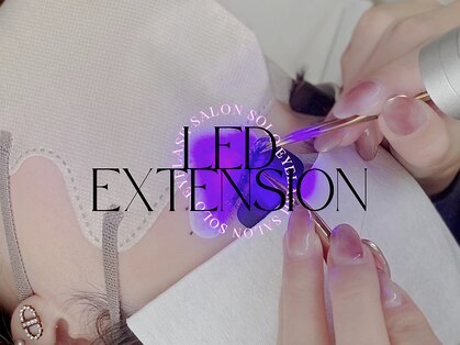 ソロ(SOLO)の写真