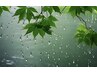 ★雨の日限定コース★ヘッド+整体60分+ミルククリーム+ふくらはぎオイル20分