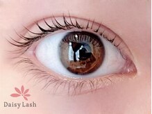 デイジーラッシュ 神戸三宮店(Daisy Lash)/まつげパーマ/パリジェンヌ/神戸