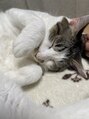 ウィル イオンタウン仙台泉大沢店(WILL) 飼ってるねこです^._.^