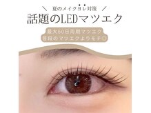 エルン(Elun)