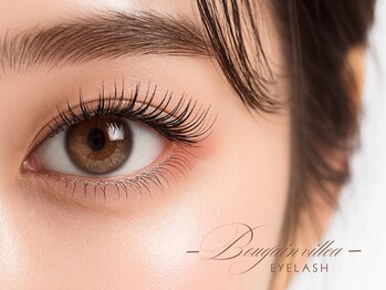 ブーゲンビリア(Bougainvillea)