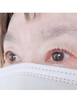 シェリー(SHERRY)/