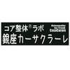 銀座カーサクラーレのお店ロゴ