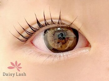 デイジーラッシュ 神戸三宮店(Daisy Lash)/まつげパーマ/パリジェンヌ/神戸