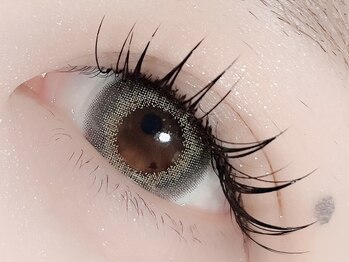 チュリップサカエ(Tulipe sakae)/まつげパーマ