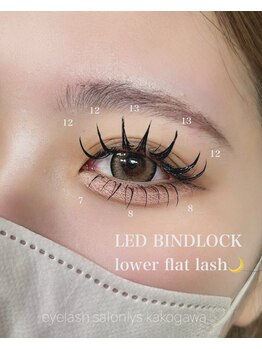 リス(Lys)/LEDバイドロック140束＋下エク