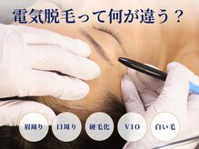 ノルテ(NOLTE)