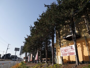 健美リラクゼーション/店舗の外観