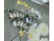 アヴェリー(wavery)の写真
