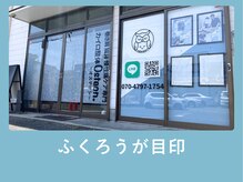 オステオン(Osteon.)/外観