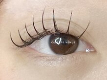 セレストヴィーナス(Celeste Venus)/フラットラッシュ140本