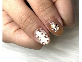 ［定額Bコース］