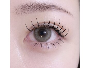 ロアーアイ(ROAR eye)/