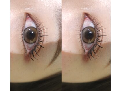 ラーソ(laco)の写真