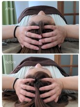 ラクシス(Luxis)/ヒマラヤンドライヘッド