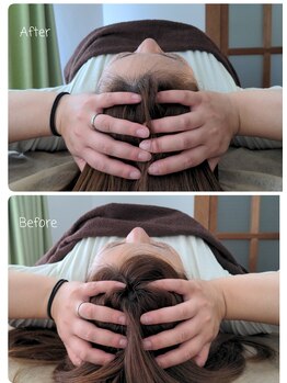 ラクシス(Luxis)/ヒマラヤンドライヘッド