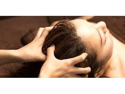 バーベナの写真