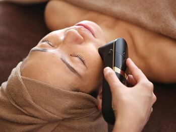 ヴィテス オン ボディーズ(Vitesse on bodies)/Vitesse on bodies