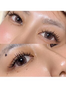 ダリア(Dahlia)/バインドロック120束★