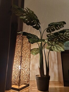 癒さか梓庵/完全個室