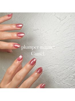 キャメル(camel)/