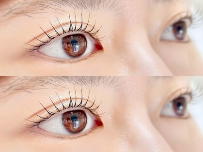 まつげエクステ専門サロン ブルームラッシュ(bloom lash)の写真