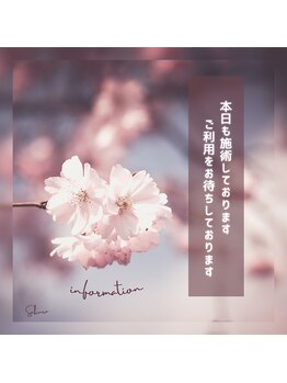 サクラ(Sakura)/本日も営業中♪