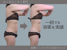 ビオラ(Viola)