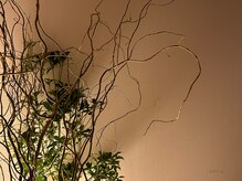 アルテ(ART-e)/曲線美が心に響く、癒しの演出