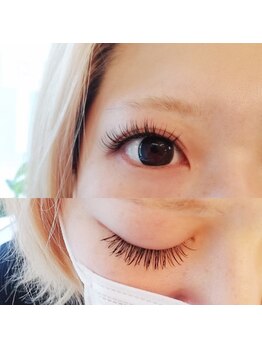 フランセス(Frances)/CCカールフラットマットラッシュ