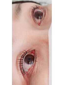 コア(Koa)/しっかり立ち上げて長さ強調