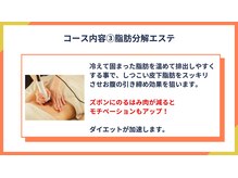 アルファ(alpha)/