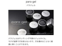 プティットスリール 西尾店(Petit Sourire)/〔 パラジェル 〕アートフリー5