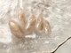 トゥーシェネイルズ(Touche'nails)の写真/お得な価格でオシャレを楽しもう♪Touche’nailsの繊細な技術を低価格でご提供☆ネイルデビューさんにも◎