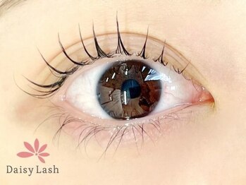 デイジーラッシュ 神戸三宮店(Daisy Lash)/まつげパーマ/パリジェンヌ/神戸