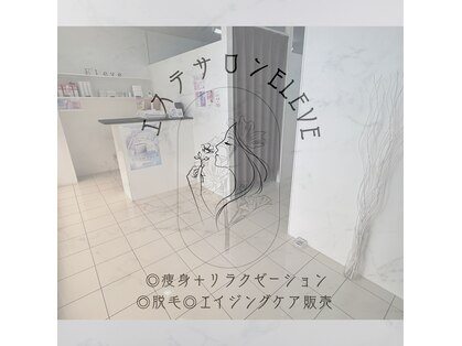 エレーヴ(Eleve)の写真