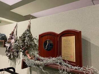 アイリー(Irie)/カイロプラクター認定証