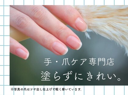 セル(Cell)の写真