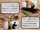 ウィング(WinG)の写真