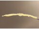 ルミエ(Lumie)の写真/美容成分配合フェイスWAXで産毛×角質×毛穴汚れを一掃しクリアな透明感肌に！
