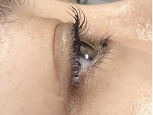 ピクシーボブ(Pixie Bob)/★マツパ、直角スタイル