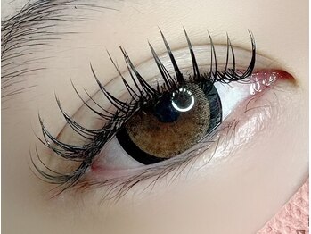 ラヴィアスプラス(LAVIAS+)/マツエク/フラットラッシュ