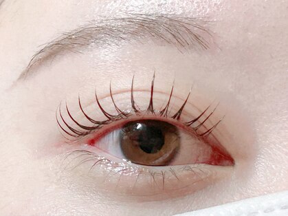 リノ(Lino)の写真