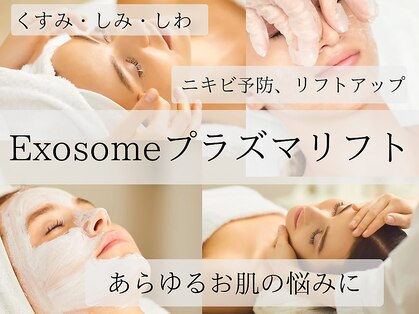 プレジールの写真