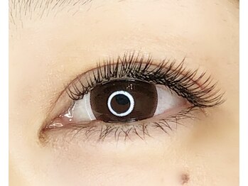 ル クール(le coeur)/perfect lash 200本