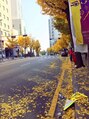 ネコ(Neko) 韓国旅行
