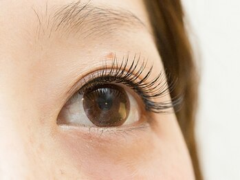 アイラッシュサロン イギー(iggy)の写真/ナチュラルなのに華やかで存在感のある上品まつ毛へ♪仕上がりモチも◎