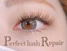 ◆リペア Perfect Lash 30日以内(前回オフして付け替えた方限定/1度のみ）