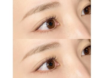 オメメ 八王子(omeme)/上下まつげエクステダークモカ